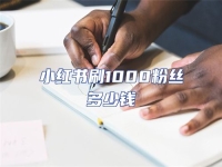 小紅書刷1000粉絲多少錢